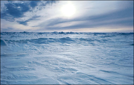 frozen-tundra